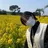 TJ天気予報 佐藤優月のプロフィール画像