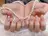 Ella nail