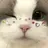 川口 絵理香のプロフィール画像