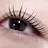KANA eyelashのプロフィール画像