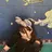 🤍 maya👶🏻のプロフィール画像