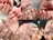 STELLA川口店 yamazaki