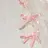 Hal nail立川 *yuuna
