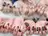 Mika Nail 池袋