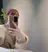salon. u ユーのプロフィール画像