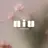 niu⟢ Maiのプロフィール画像