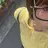 弥生台🌟 YUAのプロフィール画像