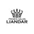 柏 、松戸の脱毛 LIANDAR