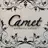carnet nail💅のプロフィール画像