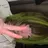 🌱石崎 みゆ 🌱/吉祥寺のプロフィール画像