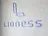 Lioness 心斎橋店のプロフィール画像