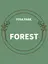 次世代温熱美容 FOREST 川崎店
