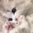 ひるた りののプロフィール画像