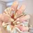 Aoi Nail salonのプロフィール画像