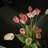 VIAS rin.⋆𝜗𝜚のプロフィール画像