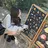 ひなの🌻hina nail自宅サロンのプロフィール画像