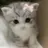 Bianca錦糸町 胡桃のプロフィール画像