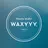 WAXYYY. KOKONA