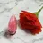 Nail ecxia /Reikaのプロフィール画像