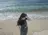 筒井 若葉