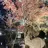 山中 萌香のプロフィール画像