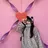 OLIVIA 郷家 ❤︎のプロフィール画像