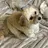 Raviy meiのプロフィール画像