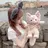 sa kiのプロフィール画像