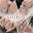 Shiroe NailStudio