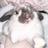 ISHII KAIRIのプロフィール画像