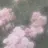 rina ⟡.· 東小金井