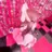 🎀心音/モデル様 募集中/熊谷🎀のプロフィール画像