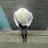 クボタ チノ