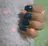 Nail mihoのプロフィール画像