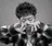 刈部倶楽舞 サスガのプロフィール画像