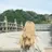 Minkstyle 代々木公園のプロフィール画像