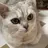 Sun ゆゆのプロフィール画像