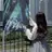 🫧 YUKINO 🫧のプロフィール画像