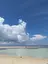 松浦 理恵のプロフィール画像