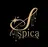 ピーリング専門サロン Spica