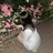 abbie takahashiのプロフィール画像