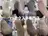 YS上野 エクステ専門店