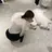 ショウナン ノア