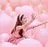やまぐち .のプロフィール画像