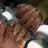 Mermaid Nailのプロフィール画像
