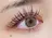 Eyelash Luaのプロフィール画像