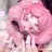 セリナ新宿 秋元のプロフィール画像
