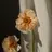 Lilas hinaのプロフィール画像