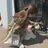 *うる艶カラーモデル 🕊️池袋のプロフィール画像