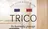 TRICO 小田桐のプロフィール画像
